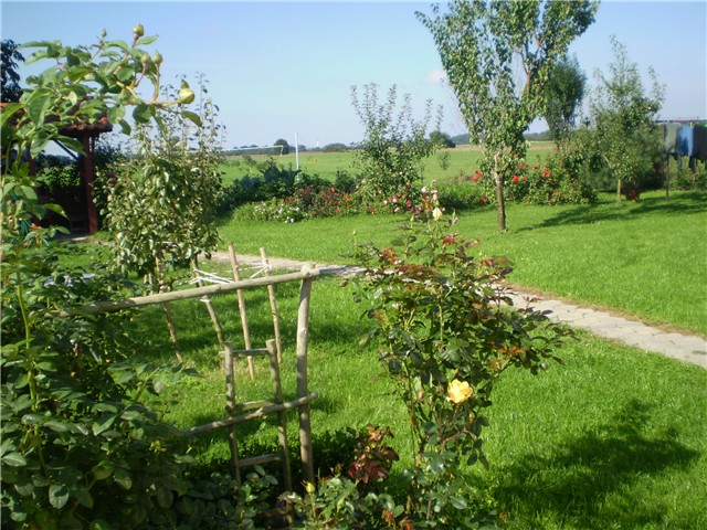 dvorište